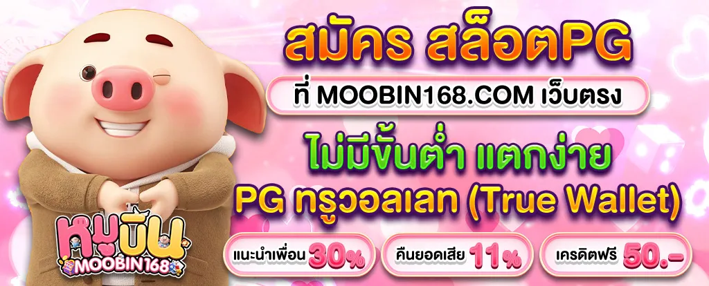 หมูบิน168
